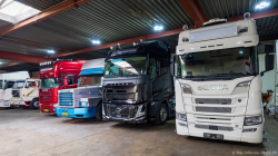 20260329-Tom-Holding-00247